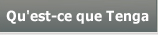 Qu'est-ce que Tenga